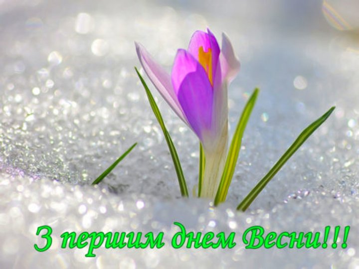 З першим днем весни: найкращі вітання, картинки та відео-листівки